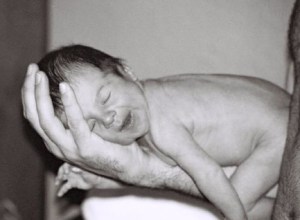 1929501_23586915566_5901_n